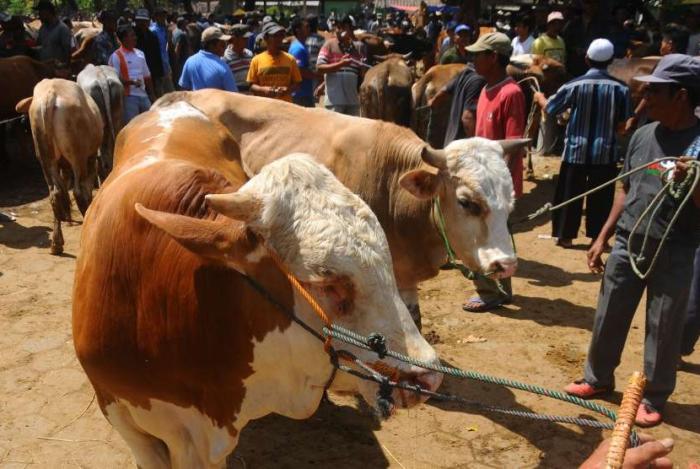 NASIHAT SEUSAI IBADAH QURBAN
