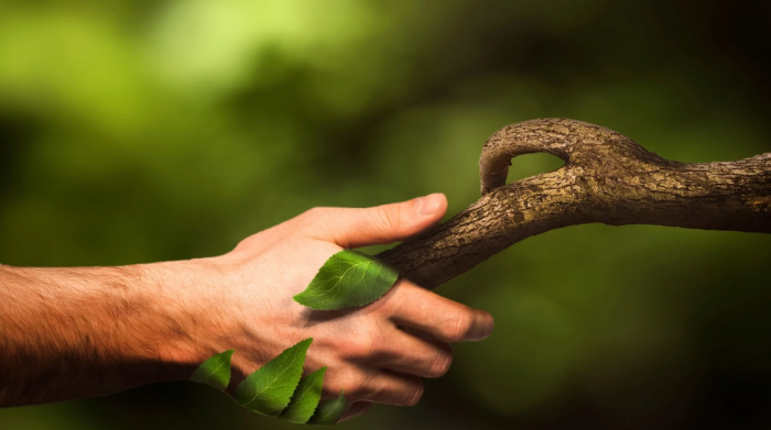 SIKAP MUSLIM SEJATI TERHADAP ALAM